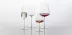 Kozarec za belo vino Riesling Zwiesel Glas The Moment 342 ml, komplet 2 kosov
